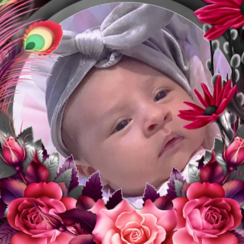 Meet your Posher, Maria